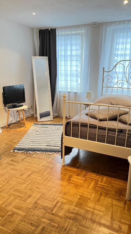 Gemuetliche Wohnung In Trier Fussgaengerzone Eksteriør bilde